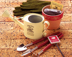 ガーデン&アウトドア